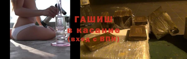 индика Михайловск