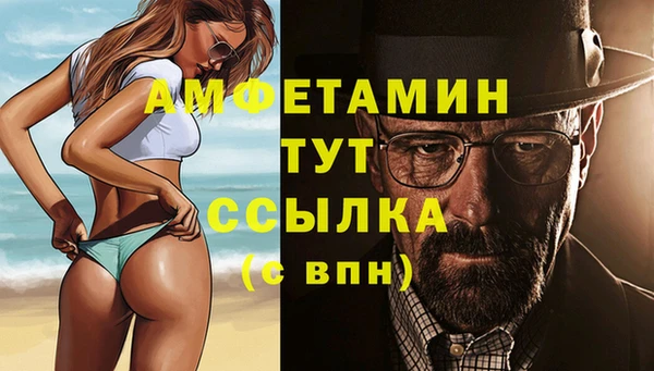 прущие грибы Верхний Тагил