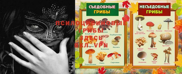 индика Михайловск