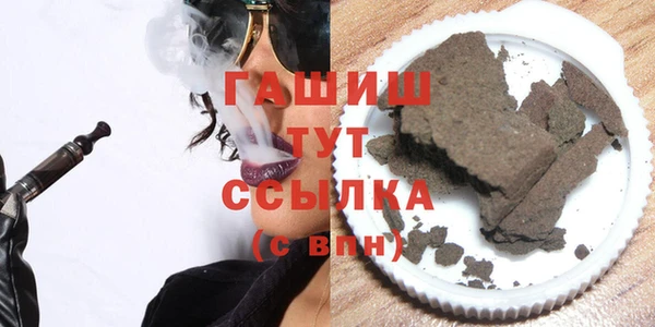 индика Михайловск