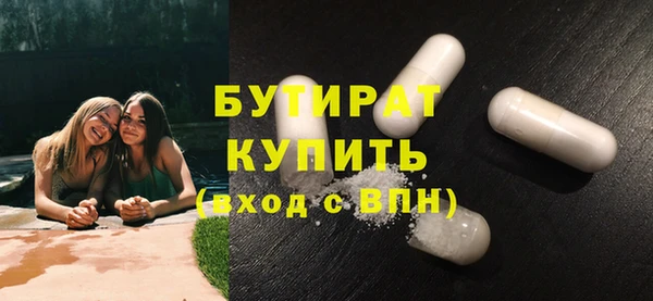 индика Михайловск