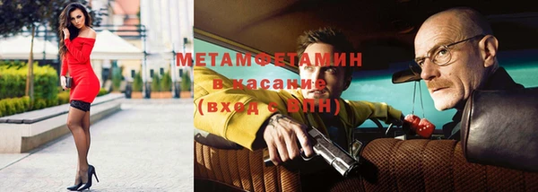 прущие грибы Верхний Тагил