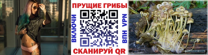 Галлюциногенные грибы MAGIC MUSHROOMS  Вилючинск 